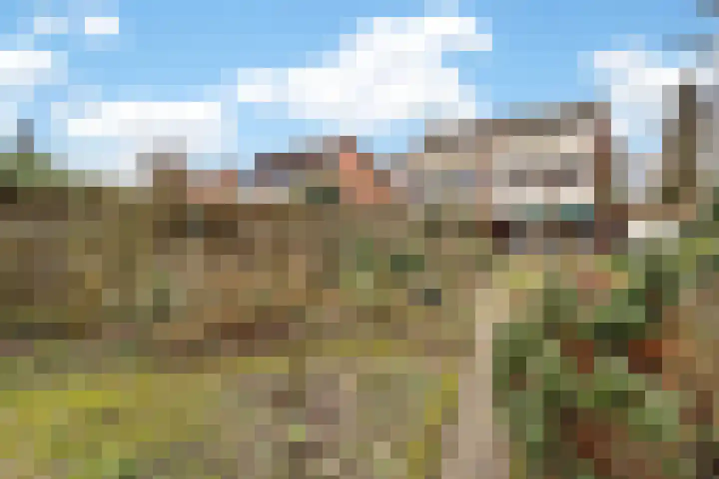 Wielewaalstraat 12 Hardenberg thumbnail 51