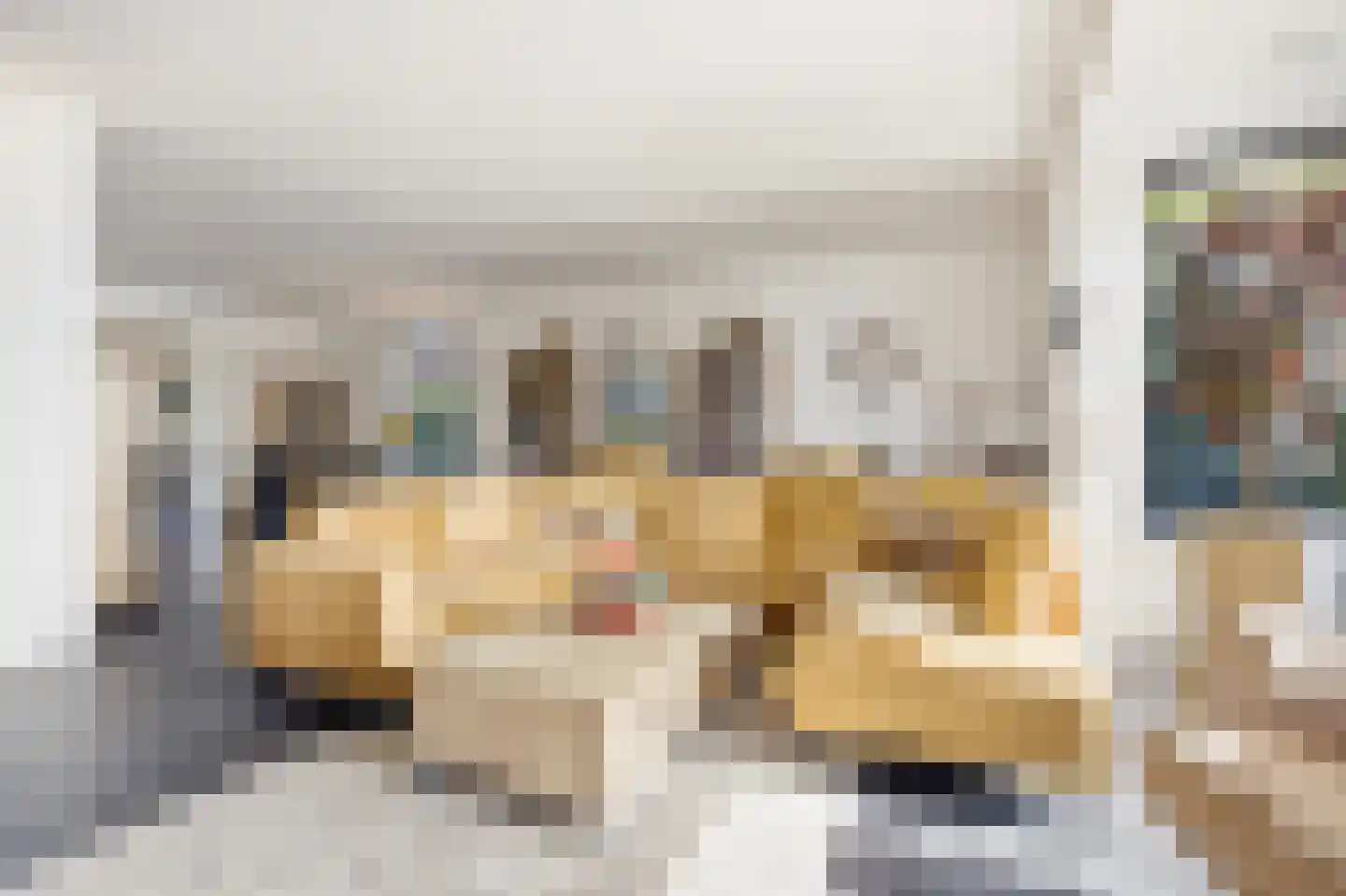 Wielewaalstraat 16 Dongen thumbnail 14