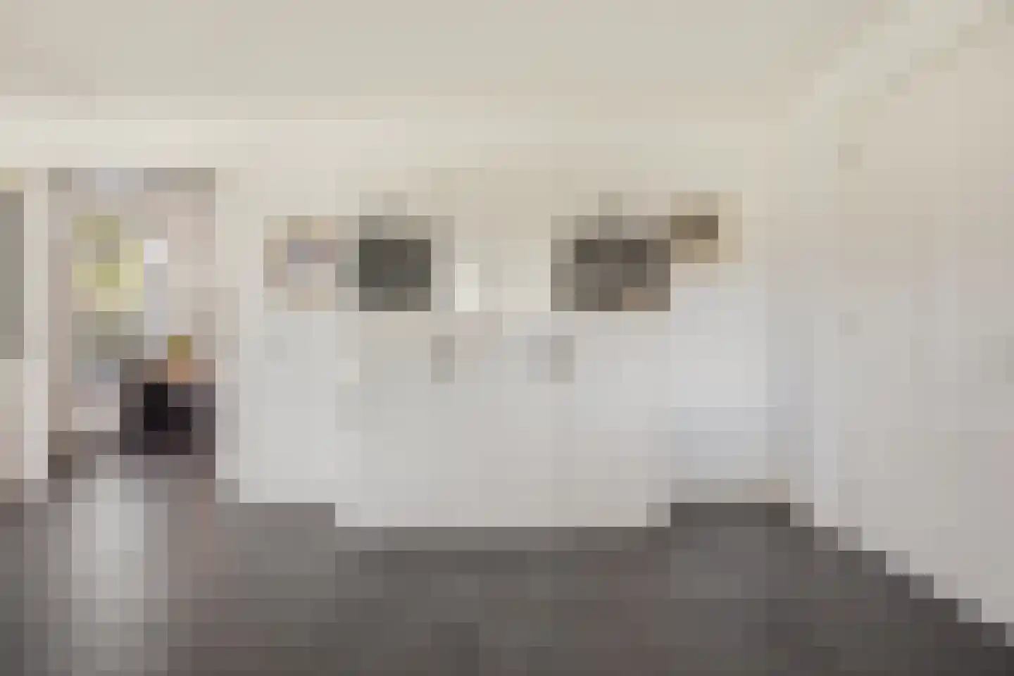 Wielewaalstraat 16 Dongen thumbnail 25