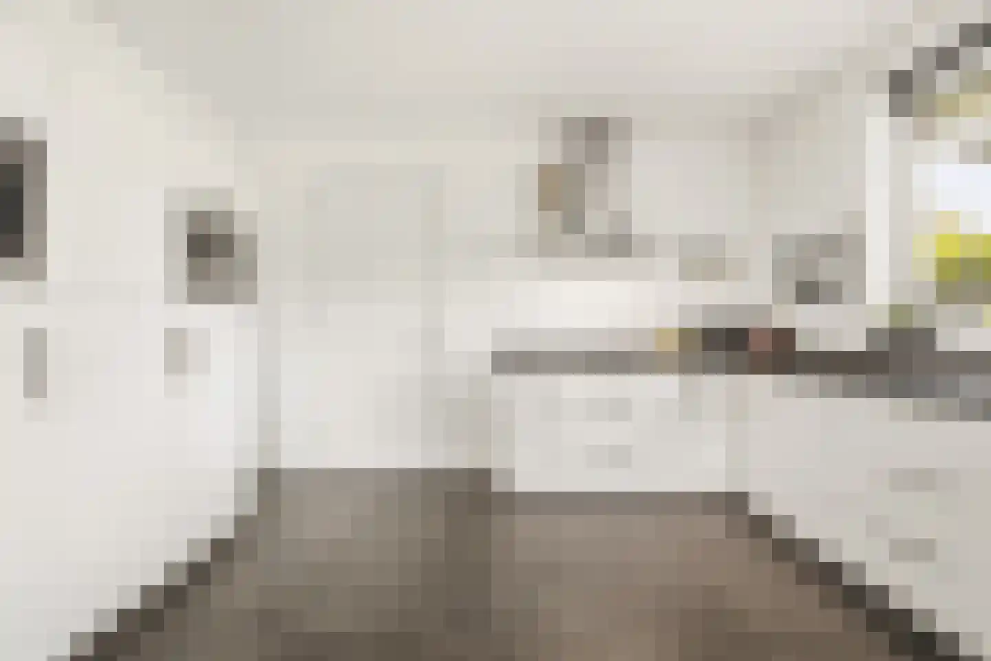 Wielewaalstraat 16 Dongen thumbnail 28
