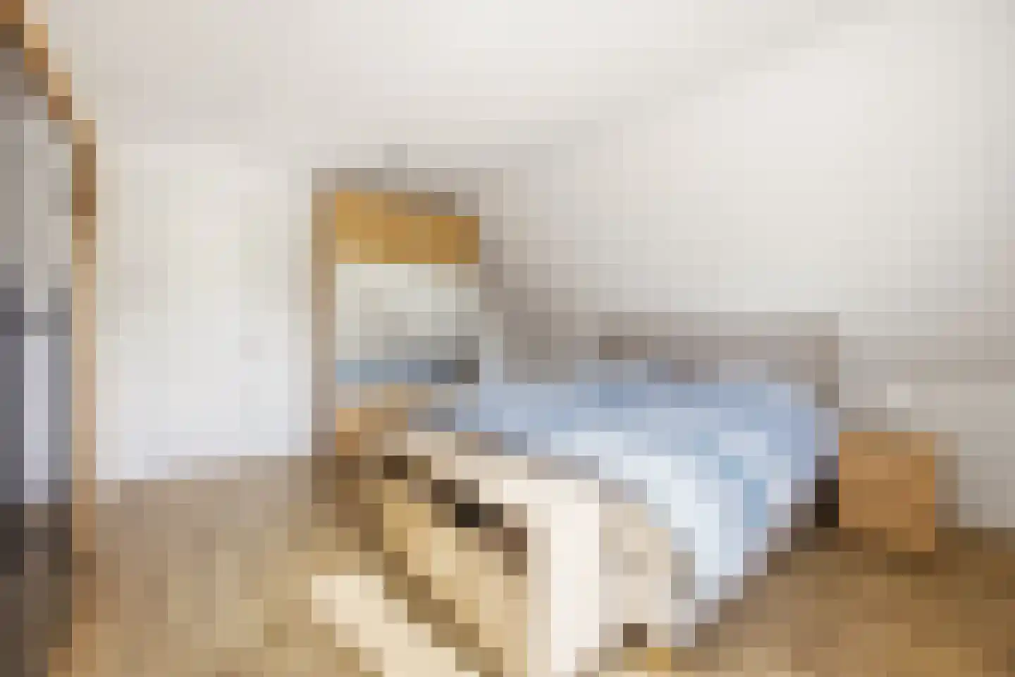 Wielewaalstraat 16 Dongen thumbnail 44