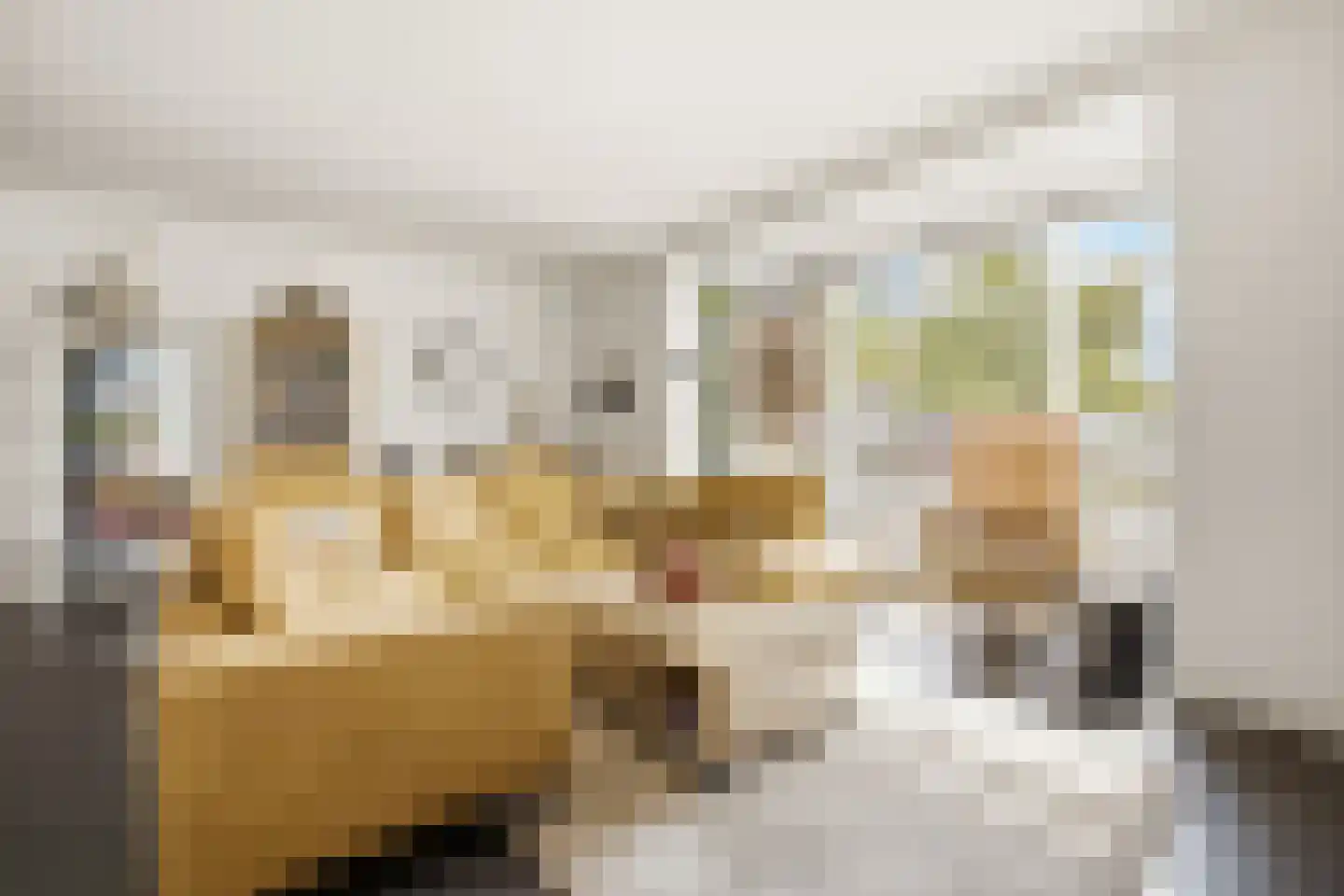 Wielewaalstraat 16 Dongen thumbnail 5