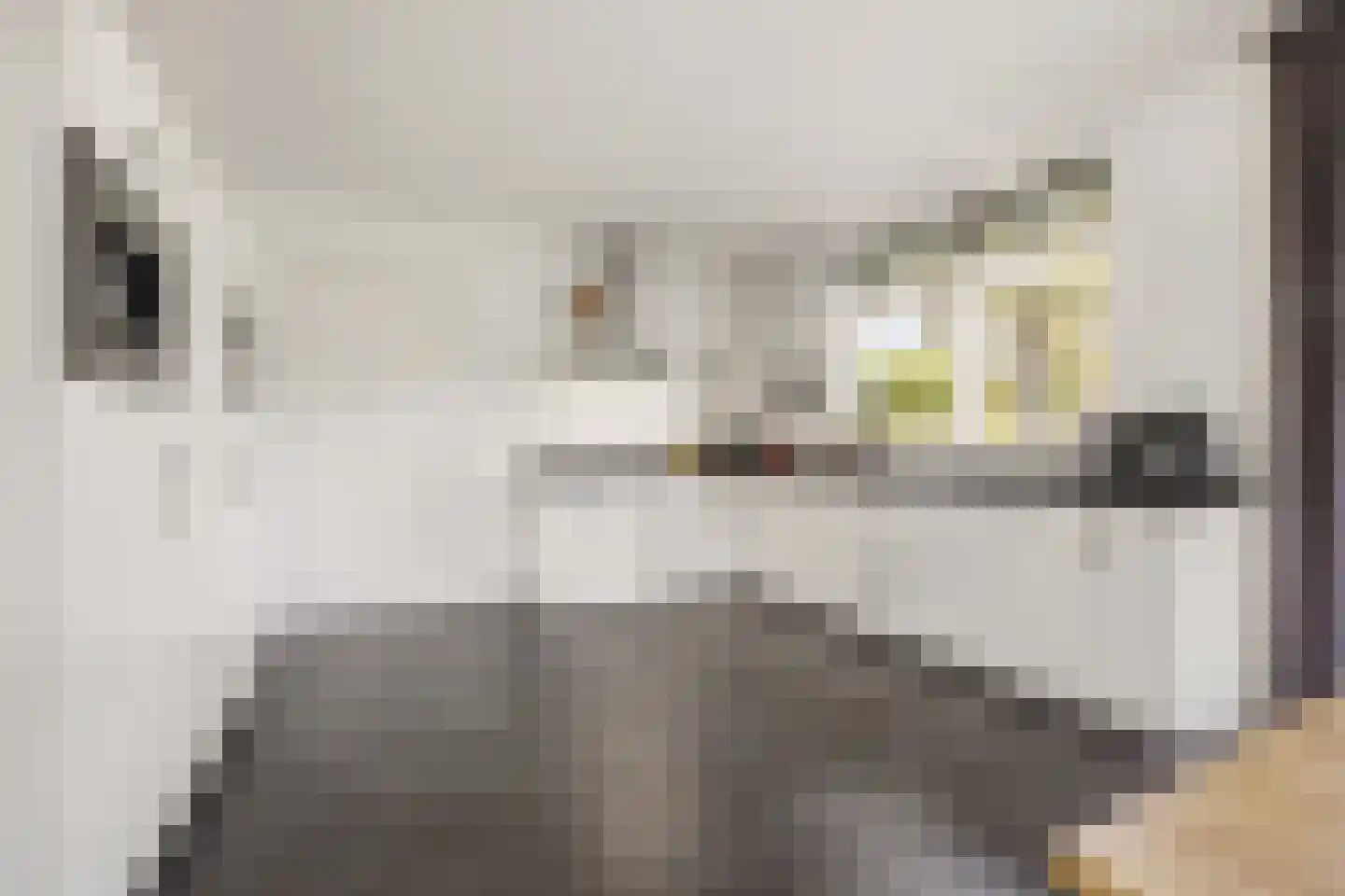 Wielewaalstraat 16 Dongen thumbnail 7