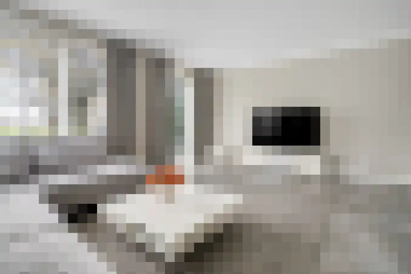 Wielewaalstraat 17 Hengelo thumbnail 10