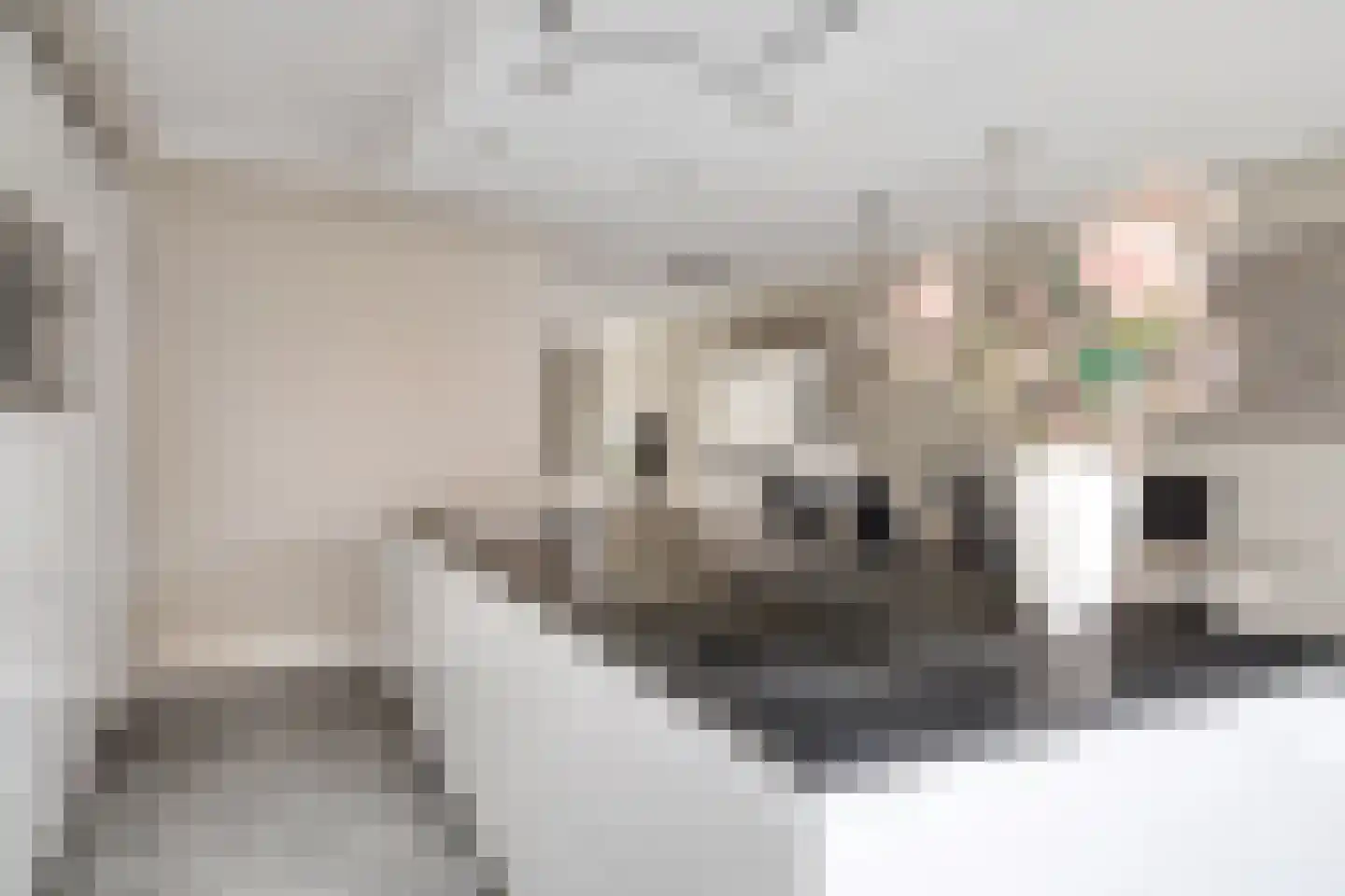 Wielewaalstraat 17 Hengelo thumbnail 14
