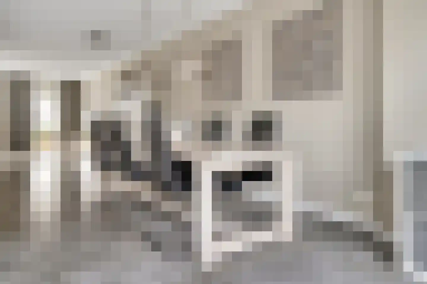 Wielewaalstraat 17 Hengelo thumbnail 17