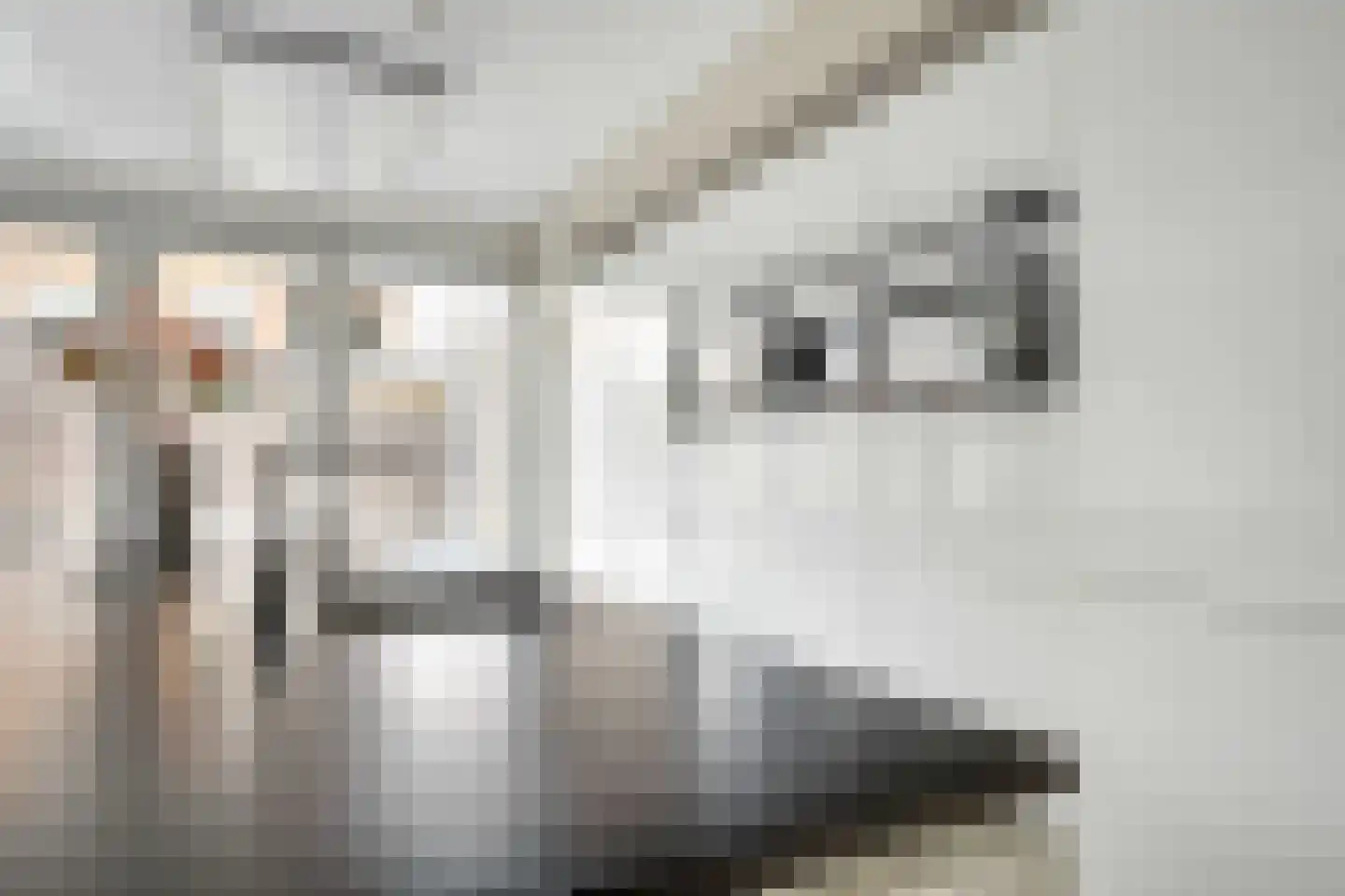 Wielewaalstraat 17 Hengelo thumbnail 18