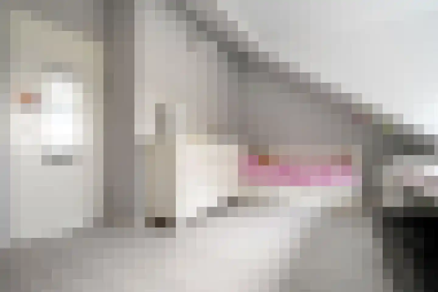 Wielewaalstraat 17 Hengelo thumbnail 38