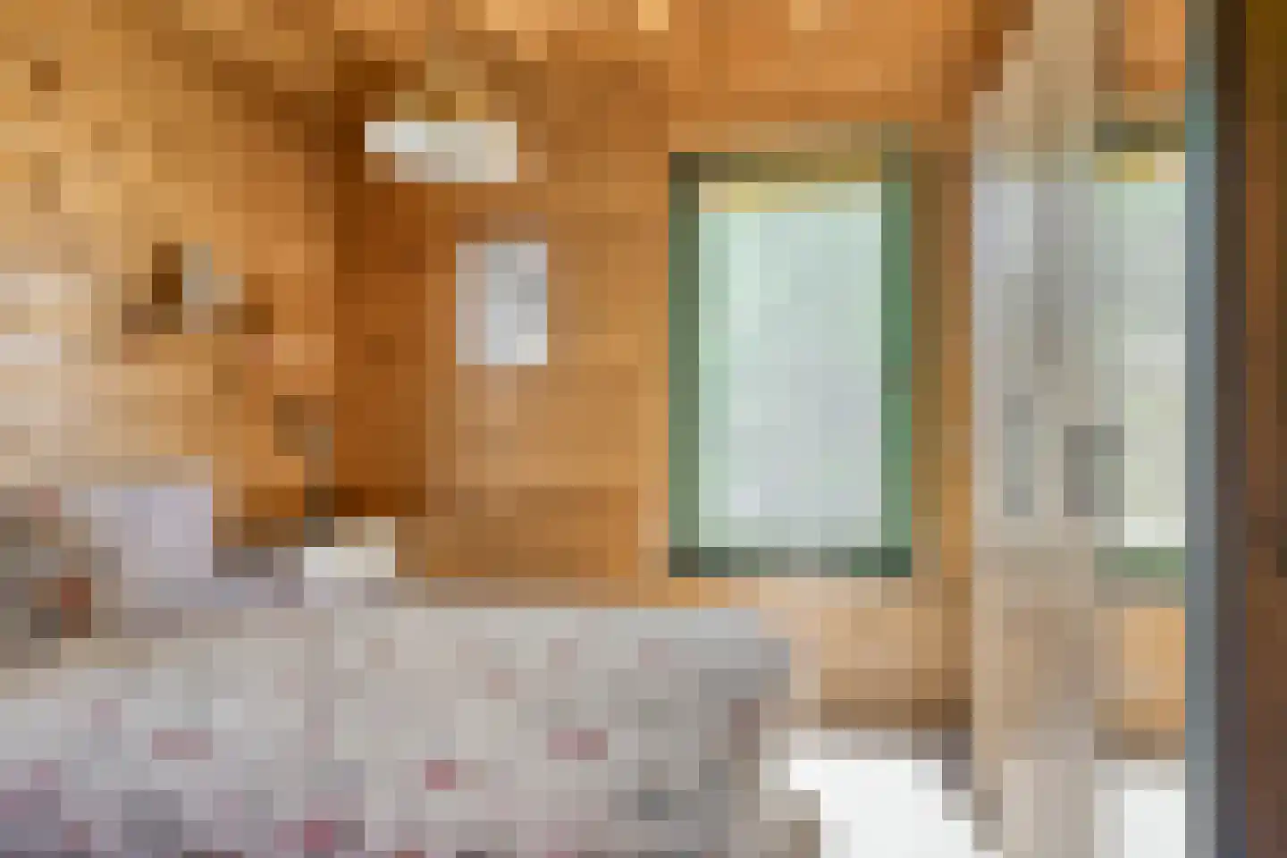 Wielewaalstraat 18 A de Lutte thumbnail 17