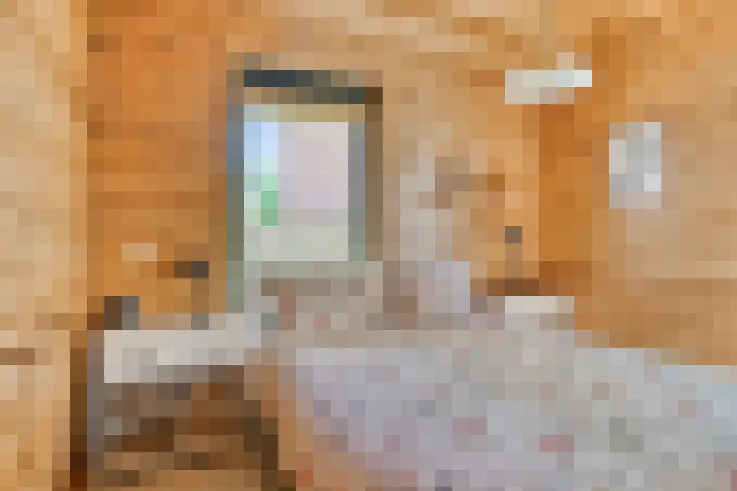 Wielewaalstraat 18 A de Lutte thumbnail 18