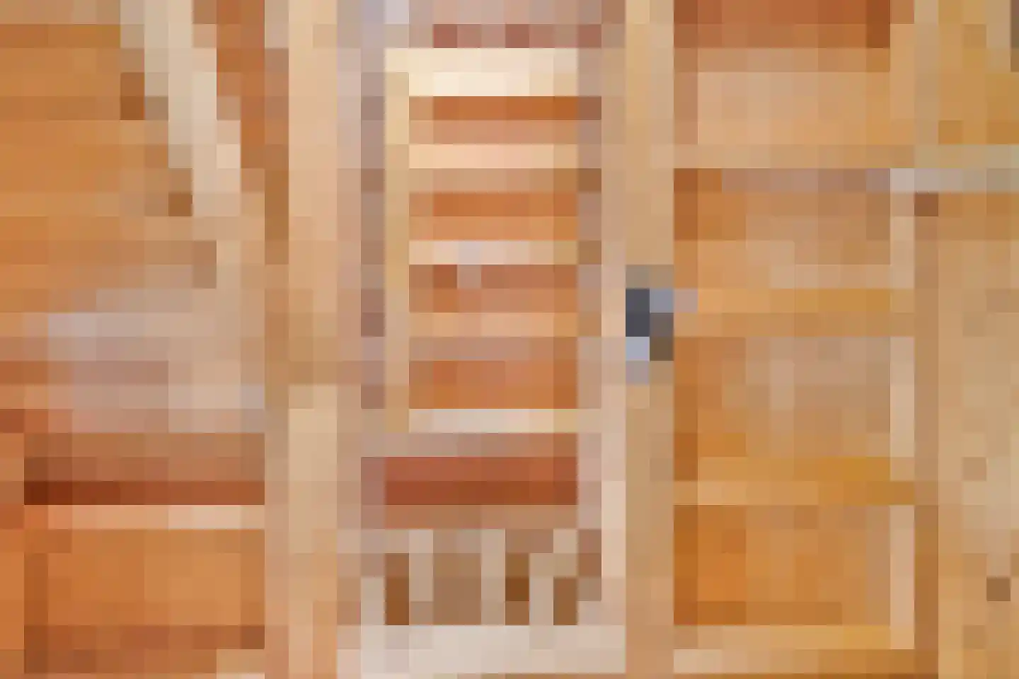Wielewaalstraat 18 A de Lutte thumbnail 21