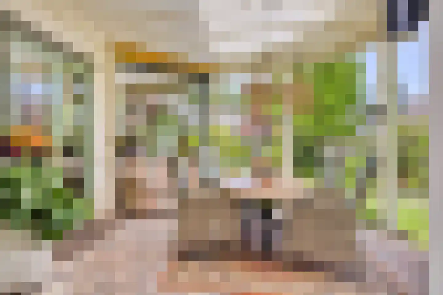 Wielewaalstraat 18 A de Lutte thumbnail 40