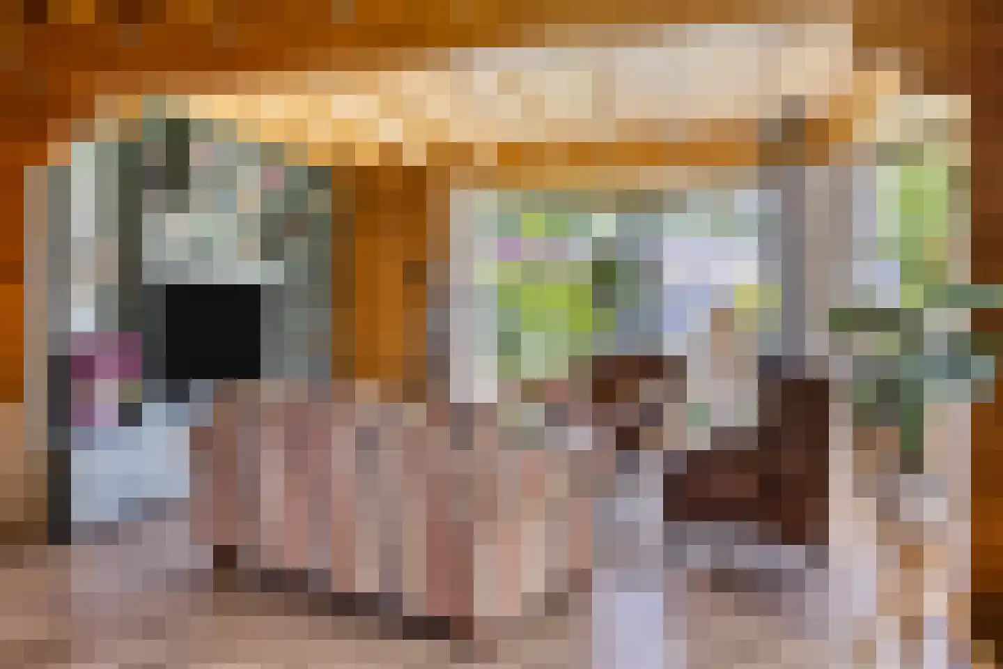 Wielewaalstraat 18 A de Lutte thumbnail 5