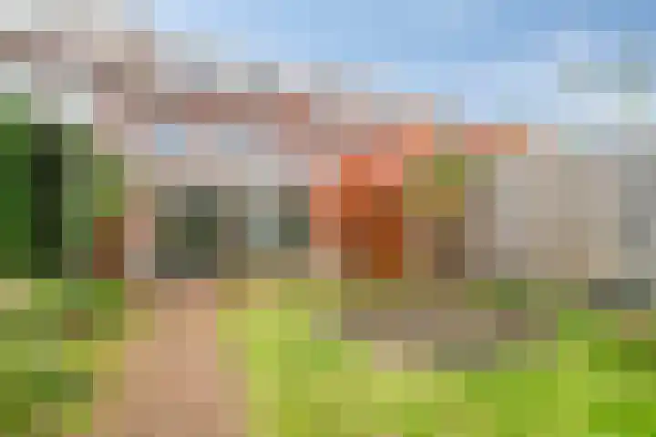 Wielewaalstraat 18 Arnhem thumbnail 31