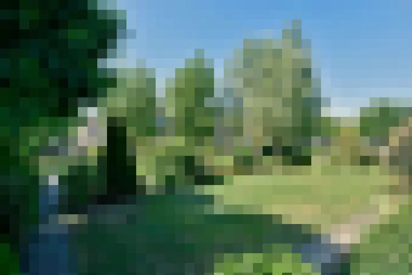 Wielewaalstraat 18 Woerdense Verlaat thumbnail 13