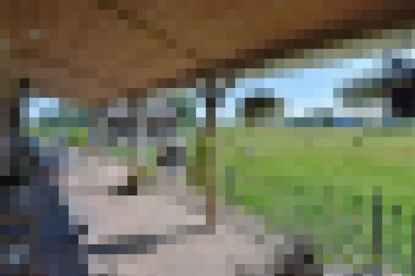 Wielewaalstraat 18 Woerdense Verlaat thumbnail 5