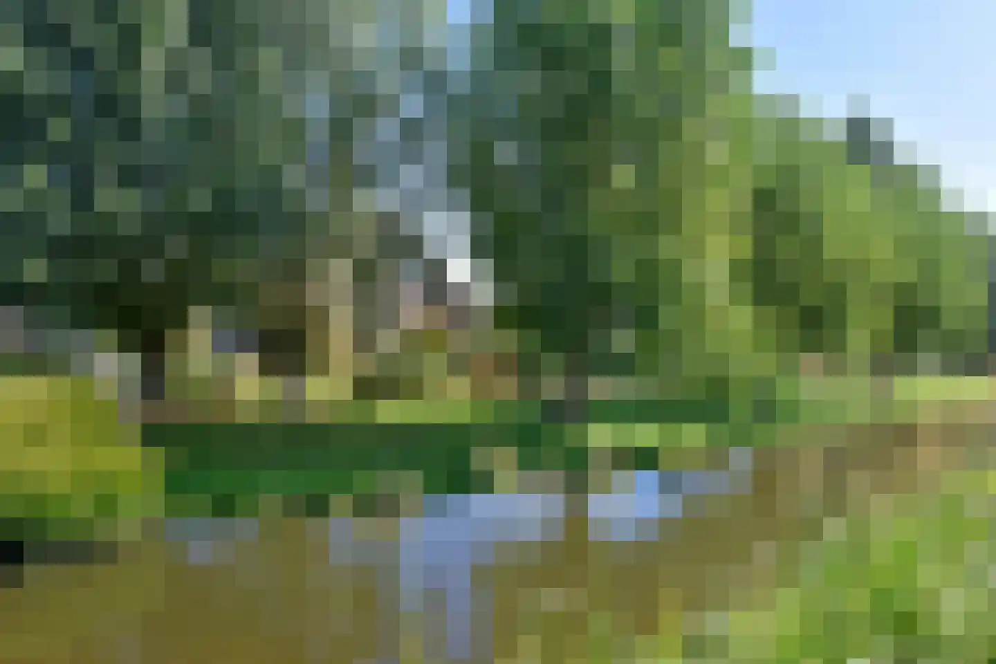 Wielewaalstraat 18 Woerdense Verlaat thumbnail 7