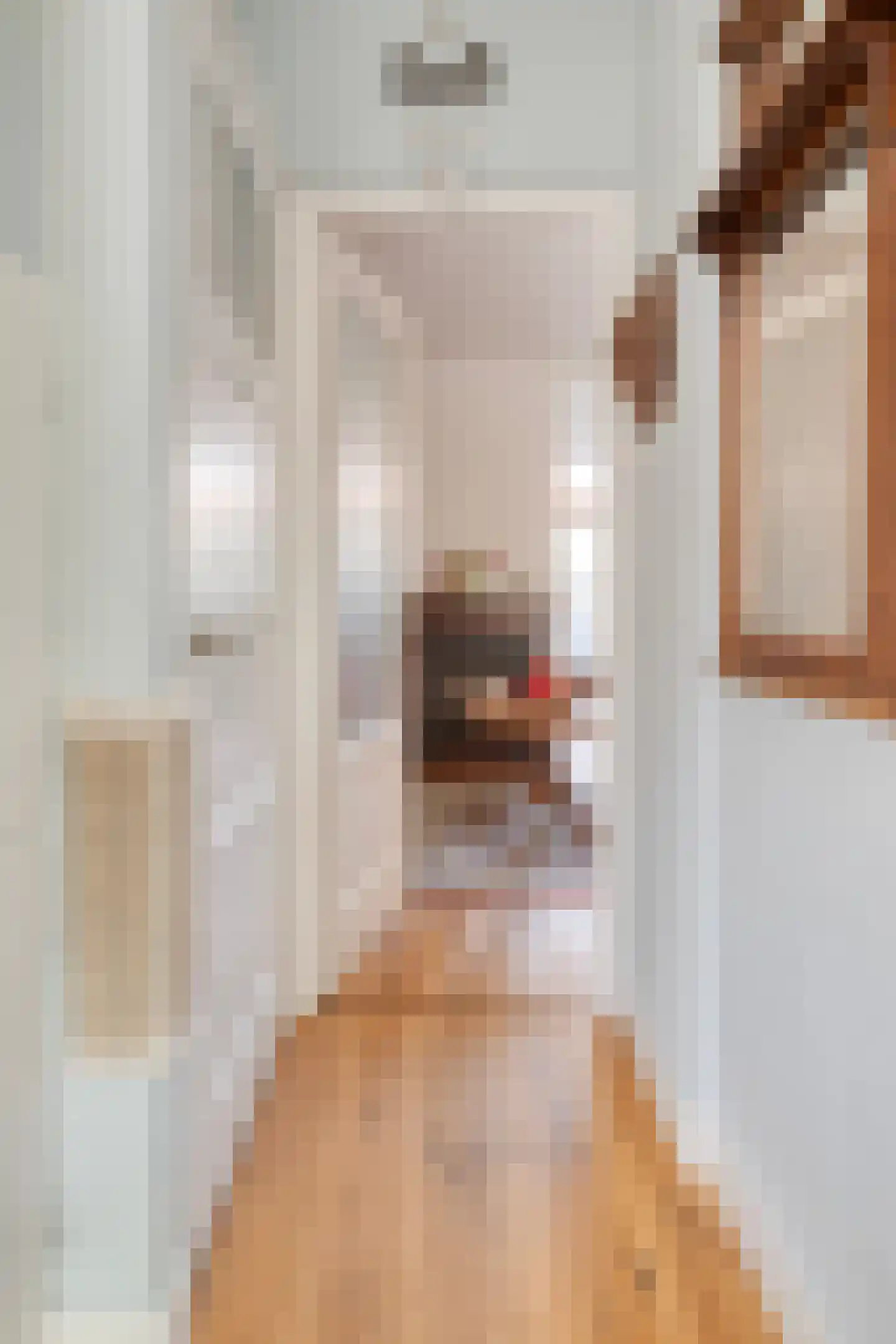 Wielewaalstraat 20 Gouda thumbnail 4