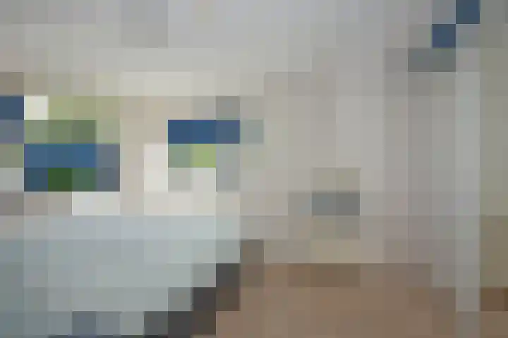 Wielewaalstraat 21 Hengelo thumbnail 16