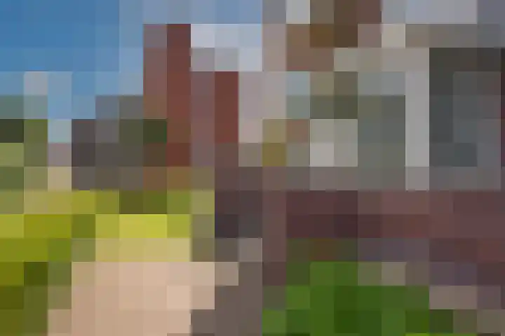 Wielewaalstraat 21 Hengelo thumbnail 31