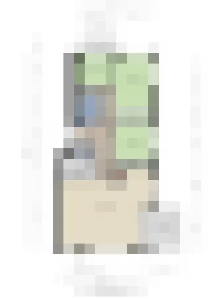 Wielewaalstraat 21 Hengelo thumbnail 40