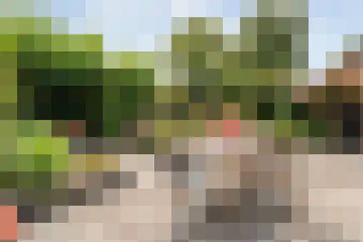 Wielewaalstraat 26 Hardenberg thumbnail 32