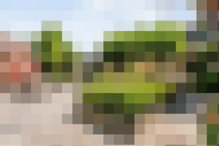 Wielewaalstraat 26 Hardenberg thumbnail 33