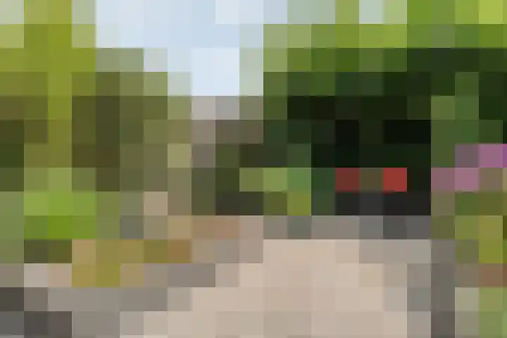 Wielewaalstraat 26 Hardenberg thumbnail 34