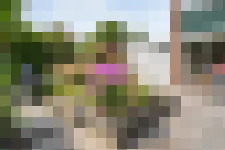 Wielewaalstraat 26 Hardenberg thumbnail 35