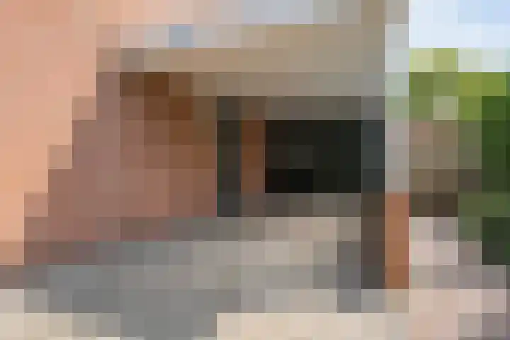 Wielewaalstraat 26 Hardenberg thumbnail 4