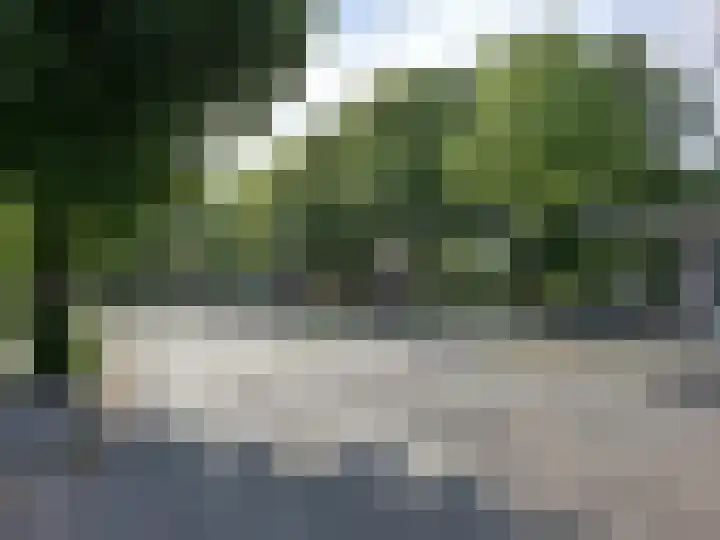 Wielewaalstraat 3 A Rotterdam thumbnail 11
