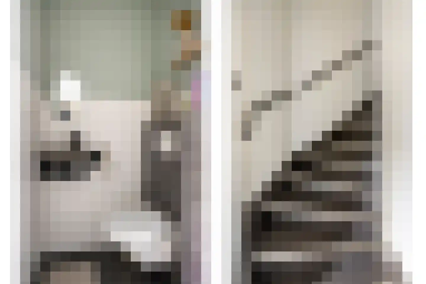Wielewaalstraat 3 Dongen thumbnail 10