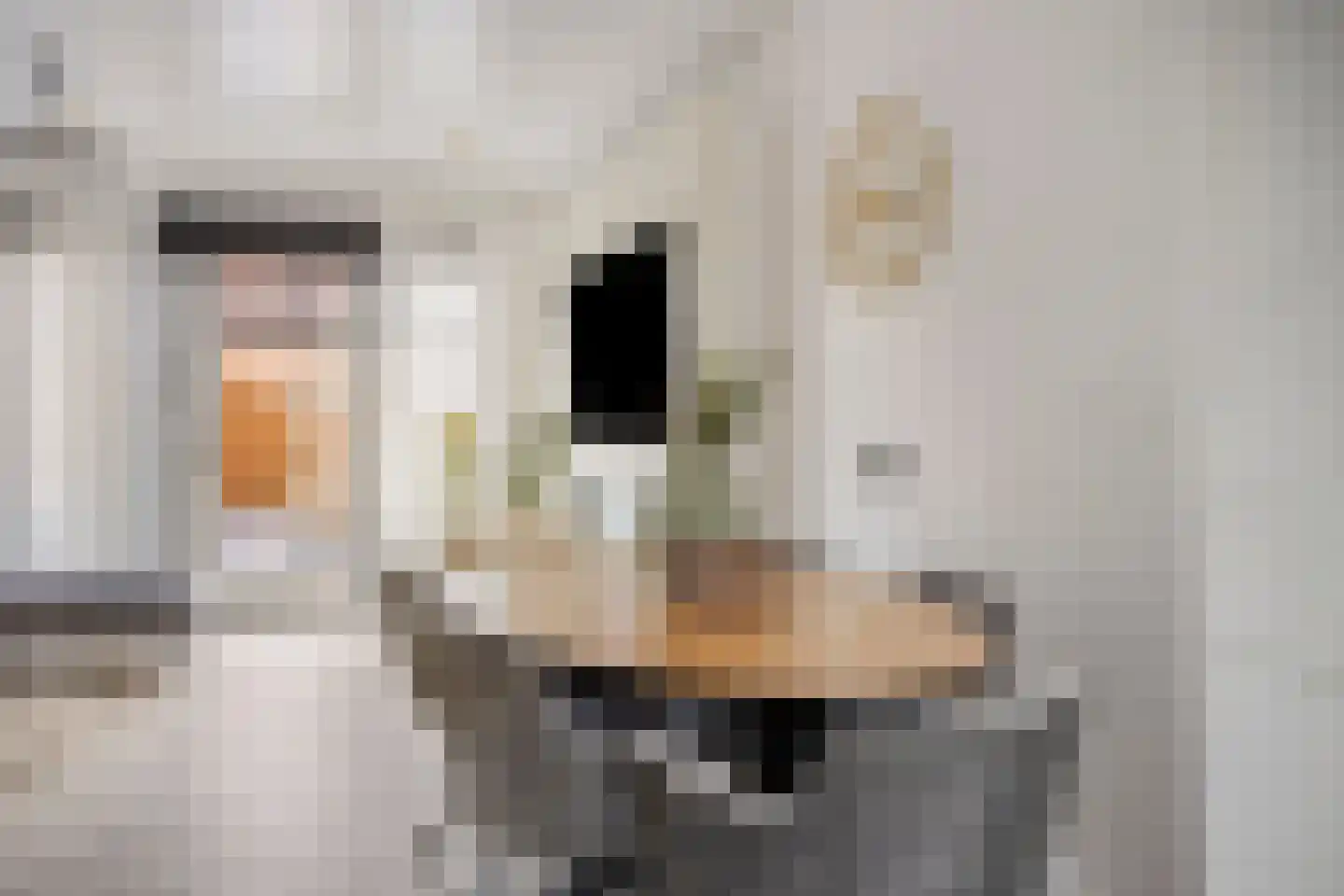 Wielewaalstraat 3 Dongen thumbnail 20