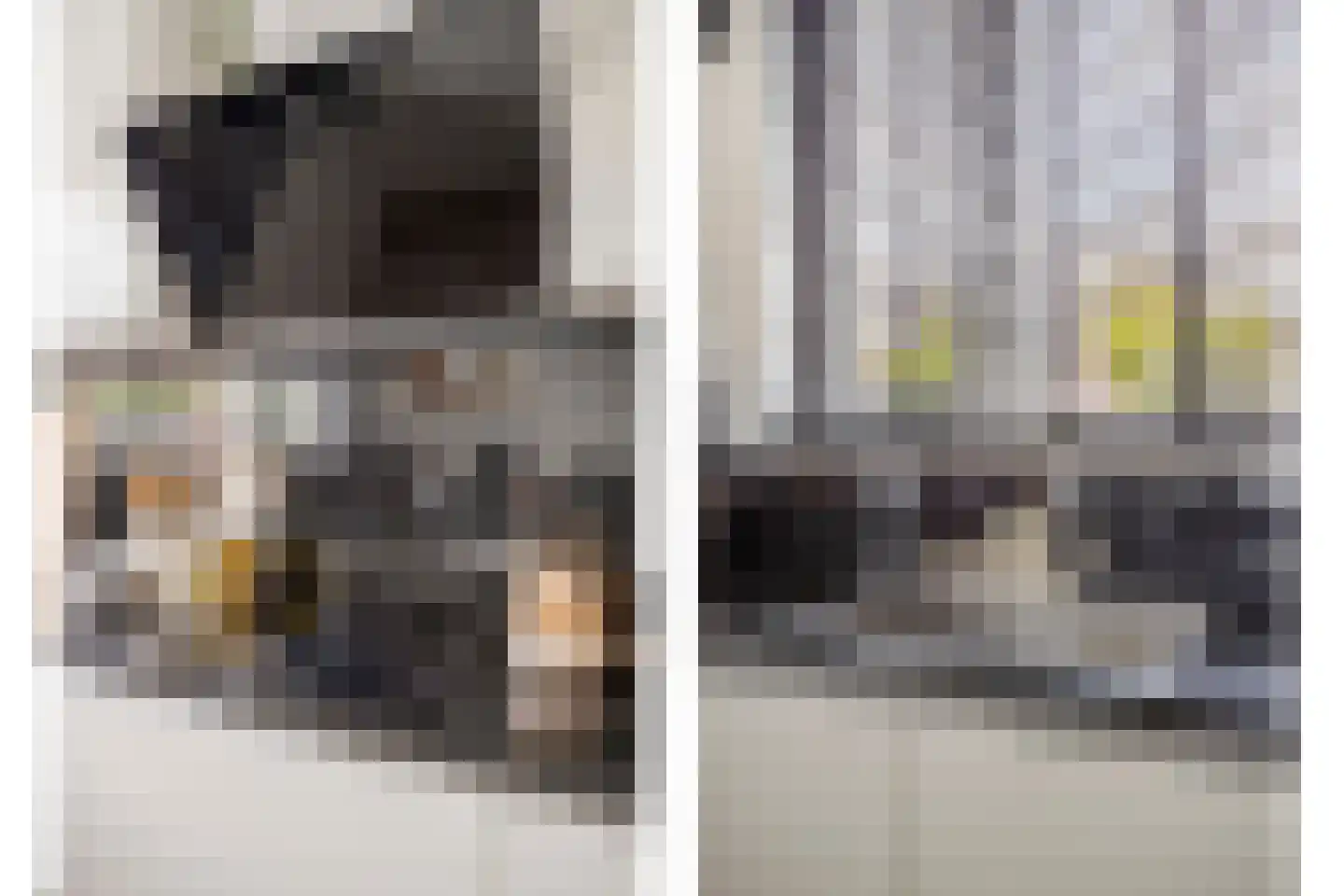 Wielewaalstraat 3 Dongen thumbnail 24