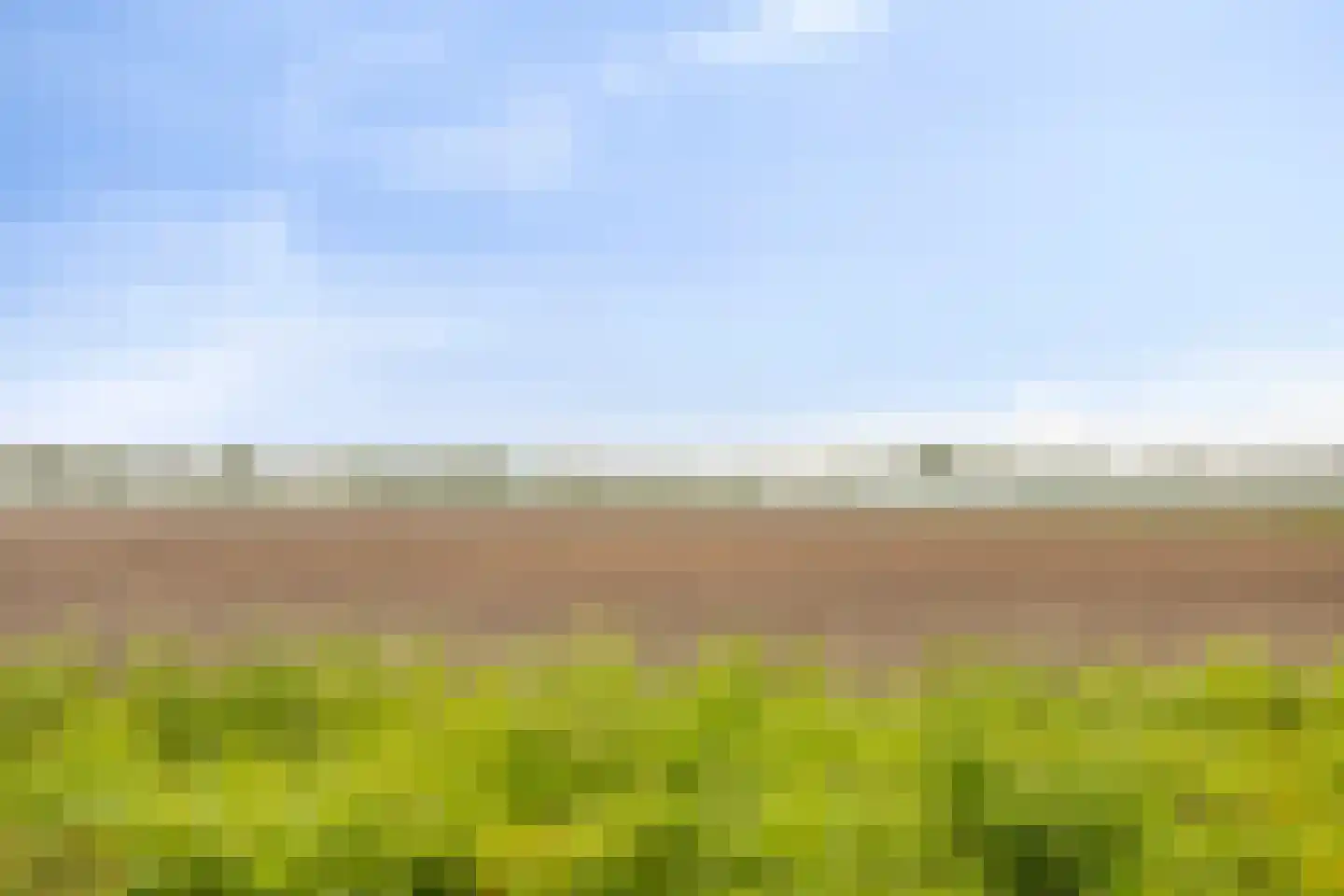 Wielewaalstraat 3 Dongen thumbnail 44