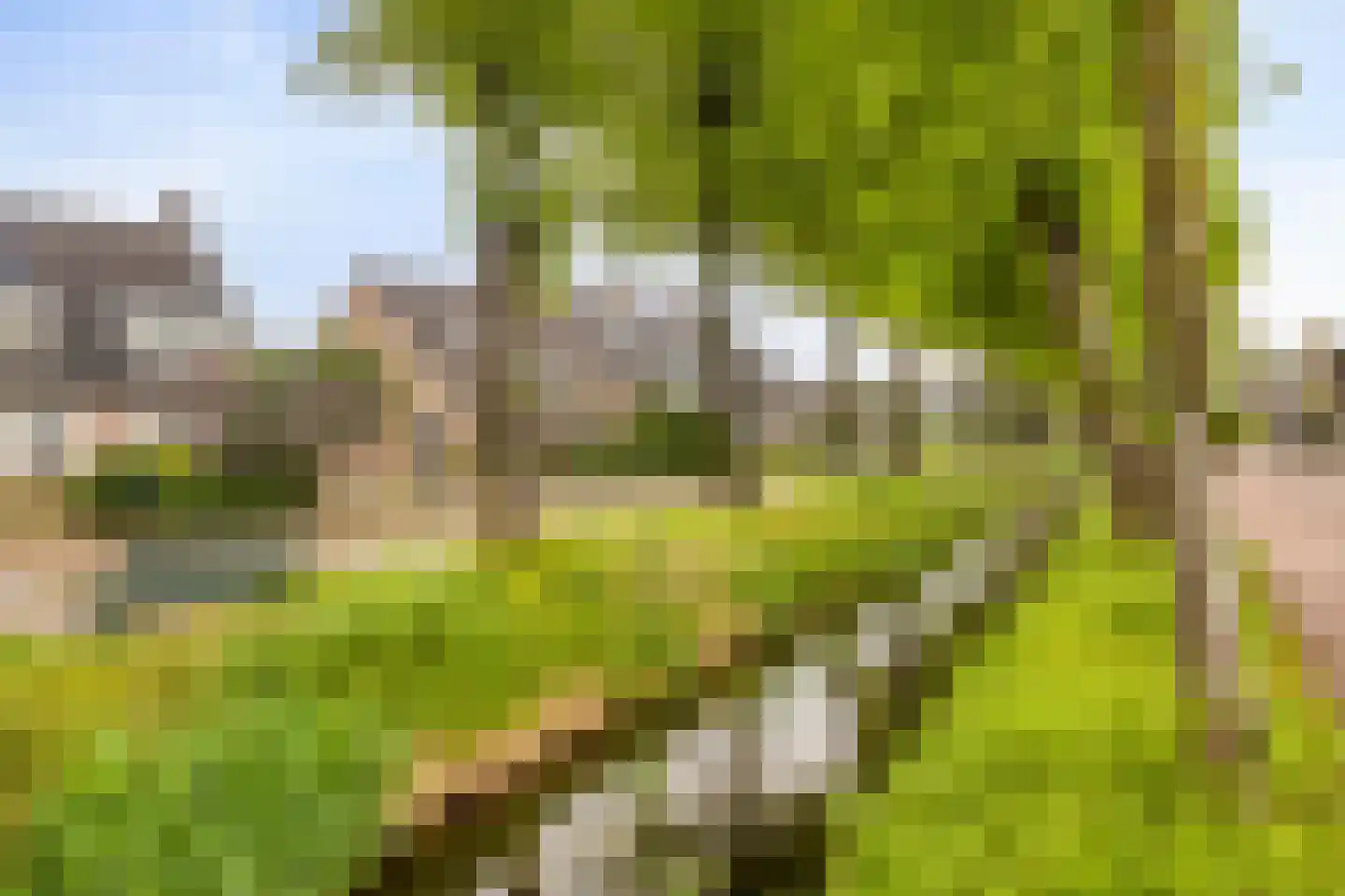 Wielewaalstraat 3 Dongen thumbnail 45