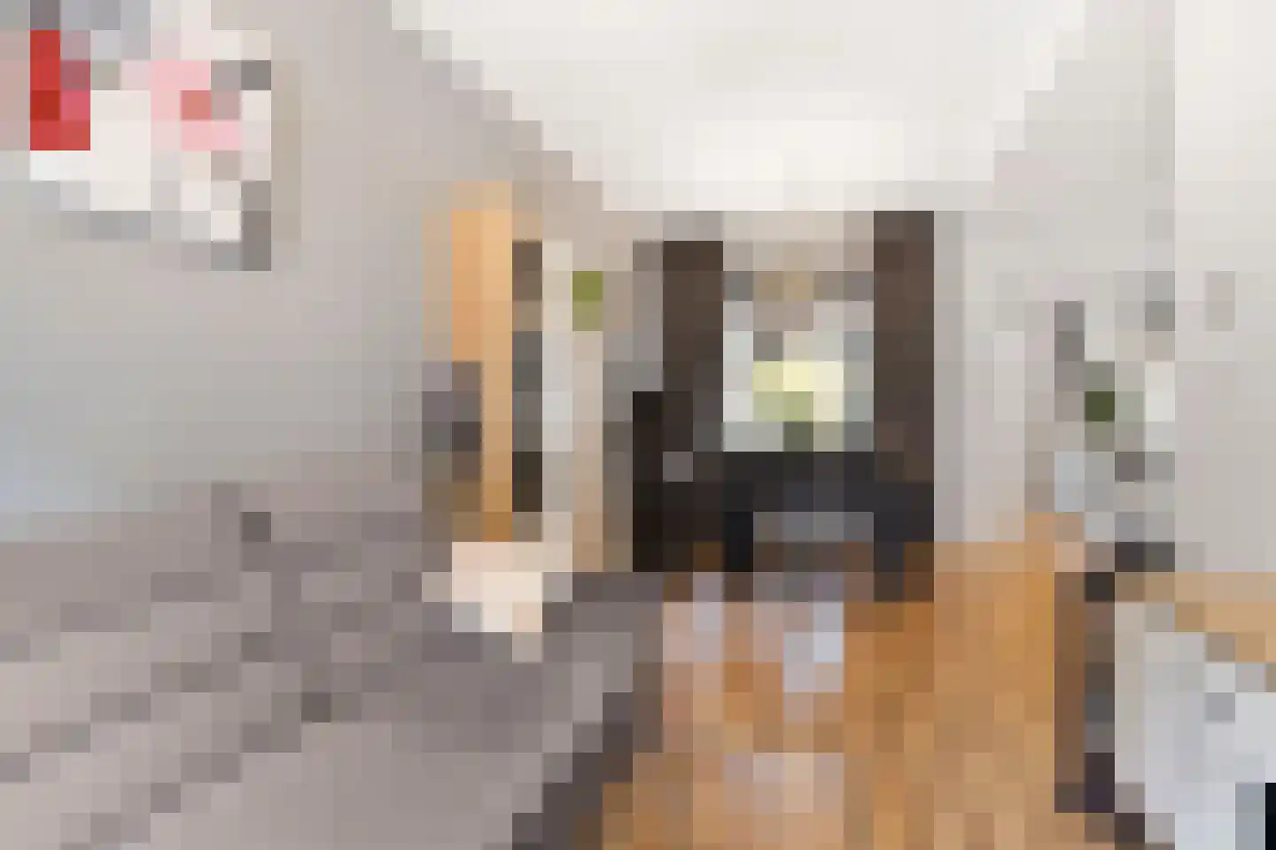 Wielewaalstraat 30 Gouda thumbnail 6