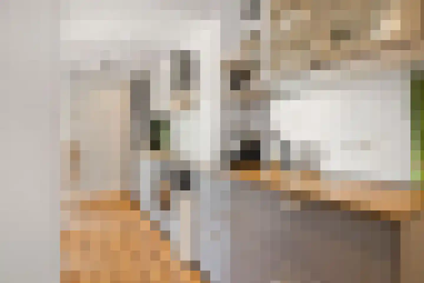 Wielewaalstraat 30 Gouda thumbnail 9