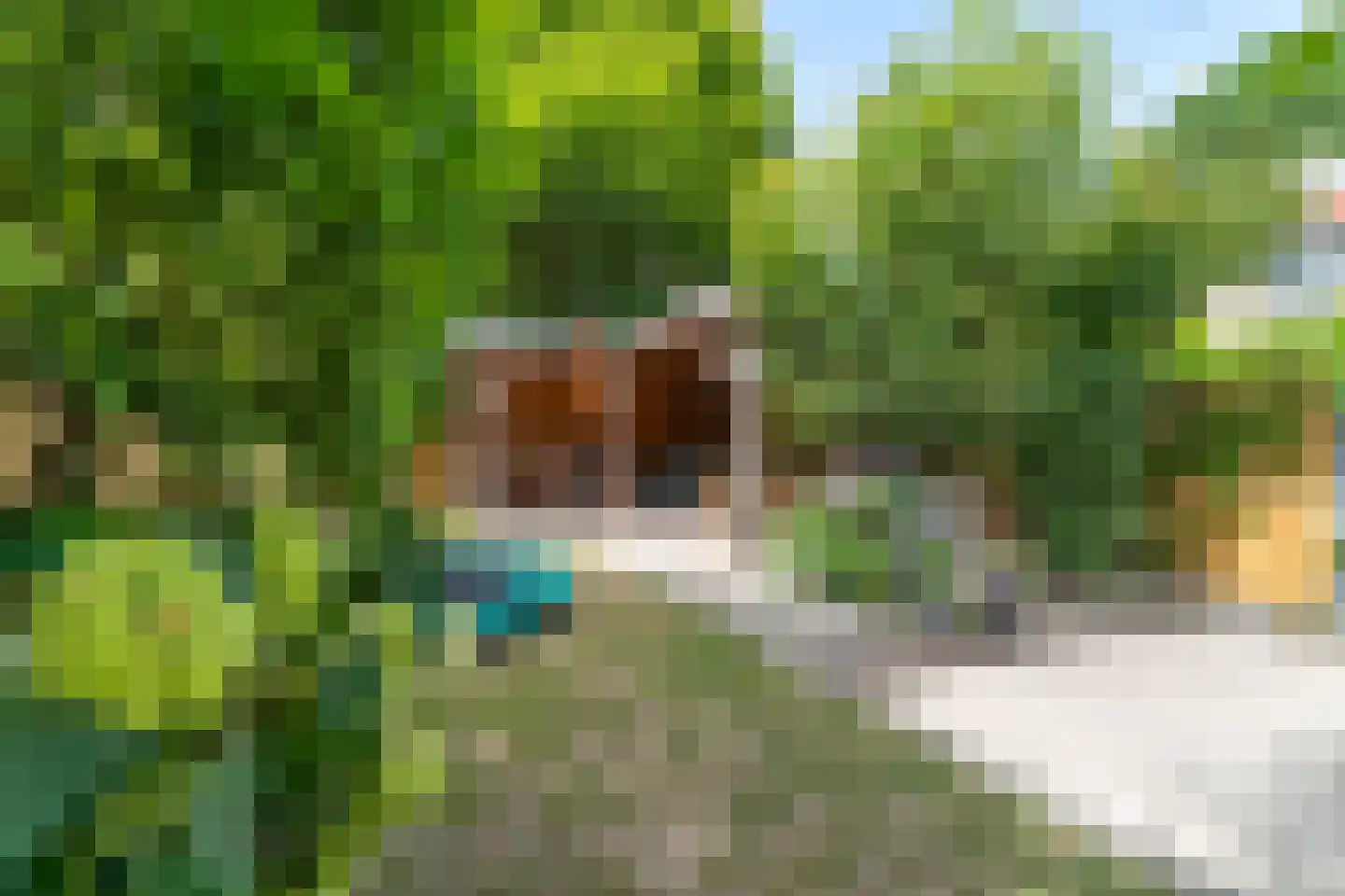 Wielewaalstraat 33 Arnhem thumbnail 38