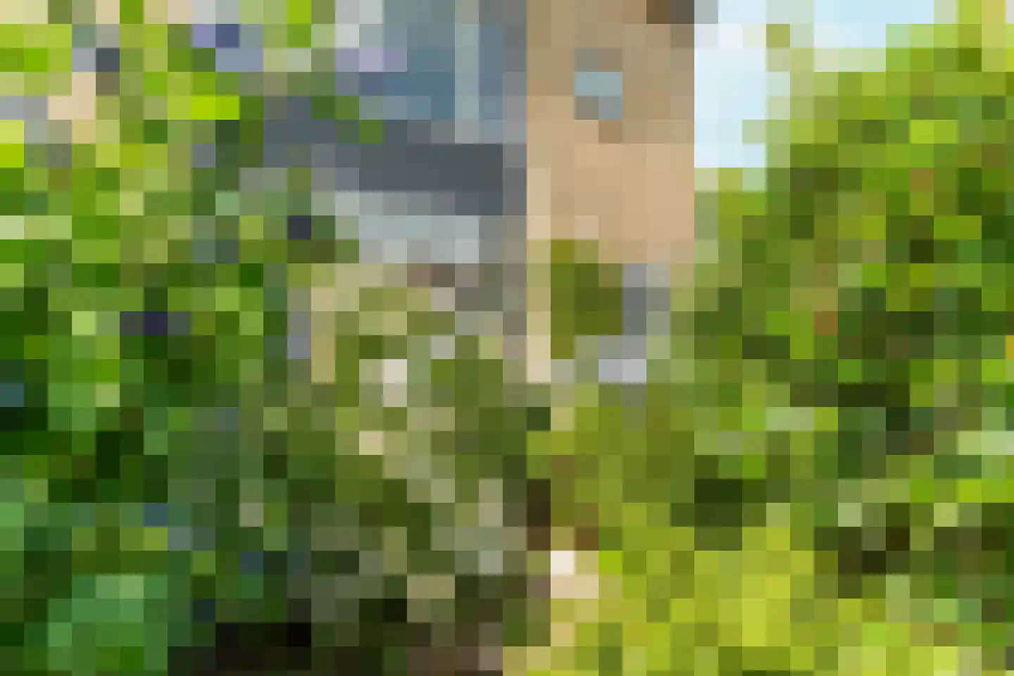 Wielewaalstraat 33 Arnhem thumbnail 4