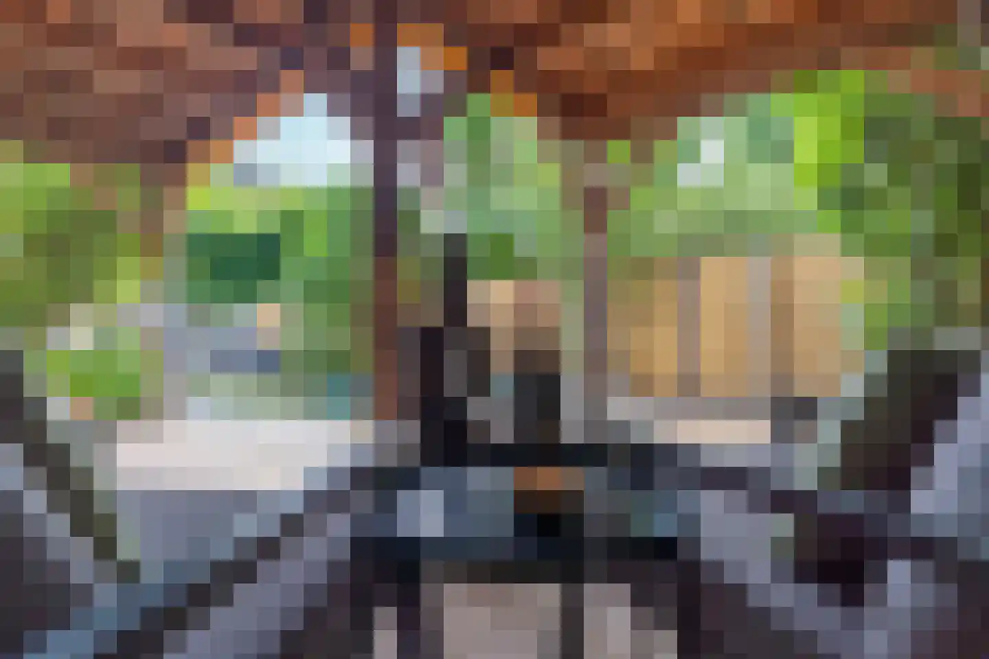 Wielewaalstraat 33 Arnhem thumbnail 42
