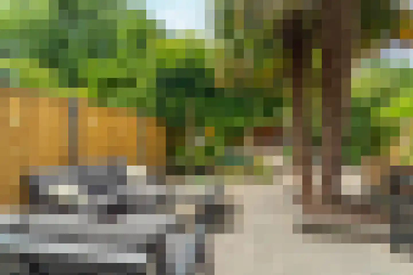 Wielewaalstraat 33 Arnhem thumbnail 5