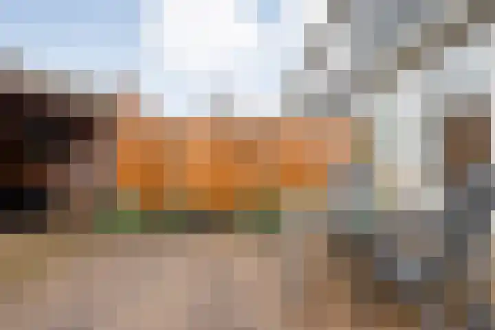 Wielewaalstraat 4 Ommen thumbnail 39