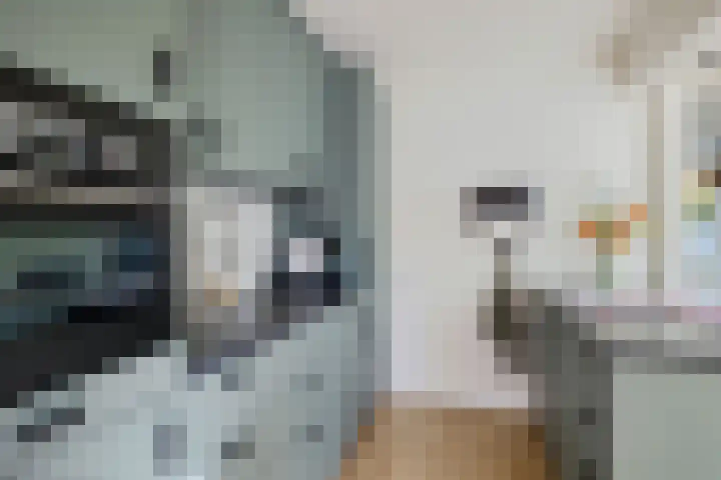 Wielewaalstraat 5 Vries thumbnail 14