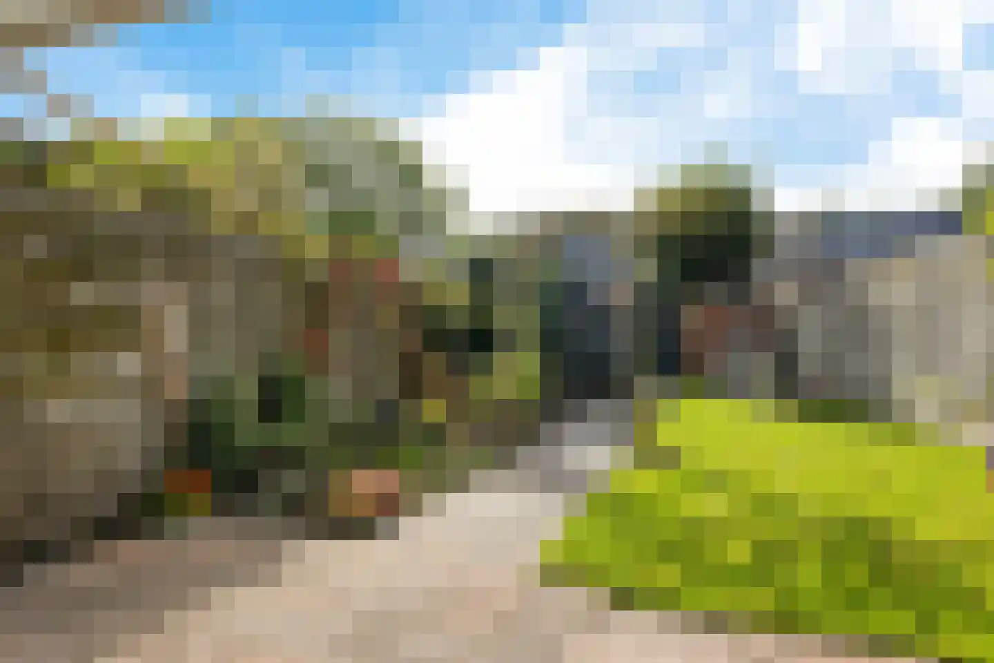 Wielewaalstraat 5 Vries thumbnail 25