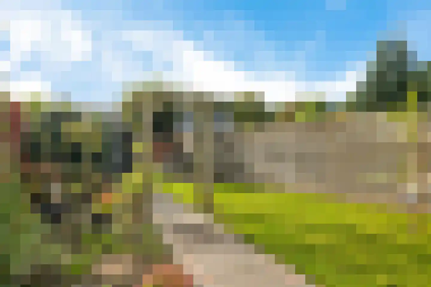 Wielewaalstraat 5 Vries thumbnail 26