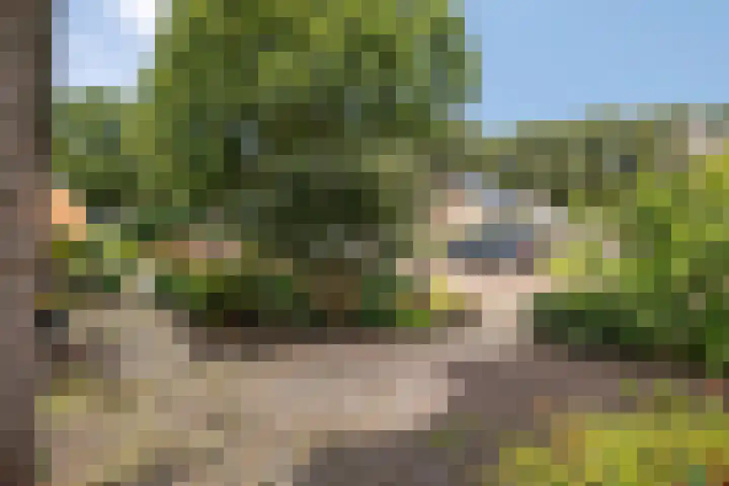 Wielewaalstraat 5 Vries thumbnail 31