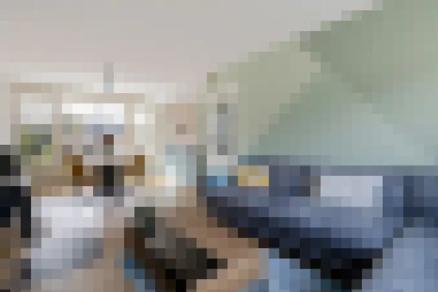 Wielewaalstraat 5 Vries thumbnail 8