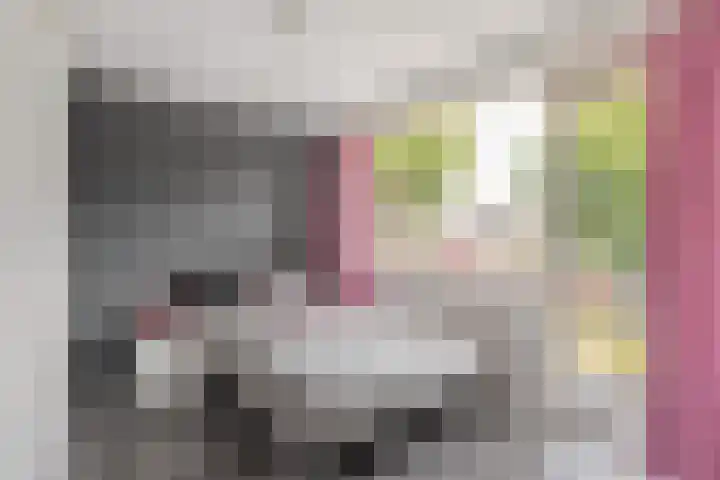 Wielewaalstraat 6 Hengelo thumbnail 16