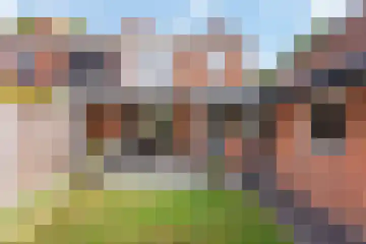 Wielewaalstraat 6 Hengelo thumbnail 19